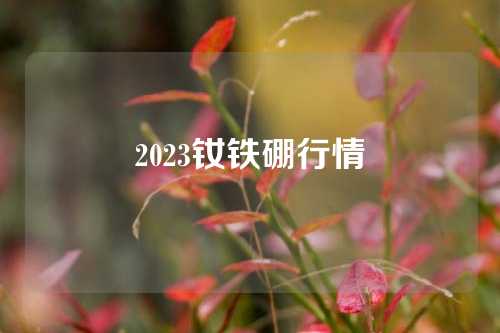 2023钕铁硼行情