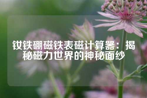 钕铁硼磁铁表磁计算器：揭秘磁力世界的神秘面纱