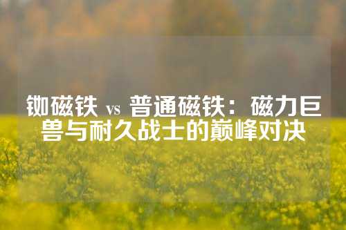 铷磁铁 vs 普通磁铁：磁力巨兽与耐久战士的巅峰对决