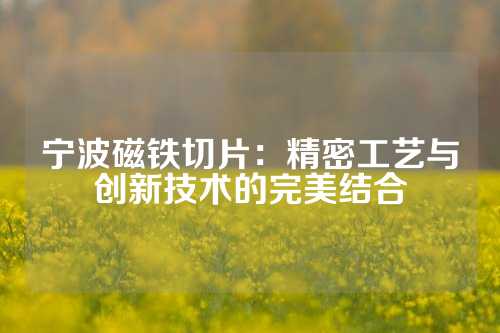 宁波磁铁切片：精密工艺与创新技术的完美结合