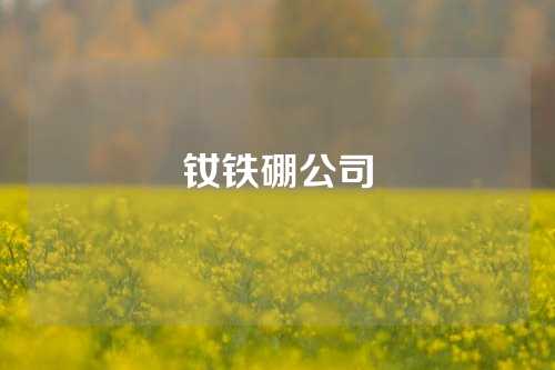 钕铁硼公司