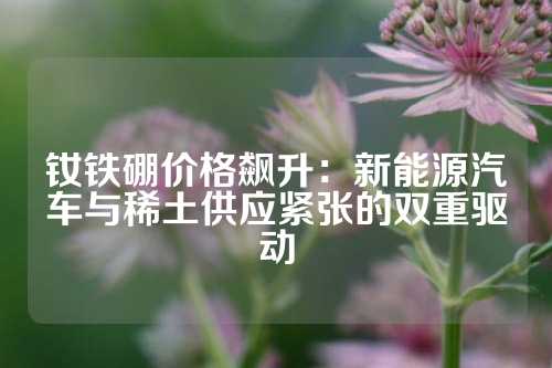 钕铁硼价格飙升：新能源汽车与稀土供应紧张的双重驱动