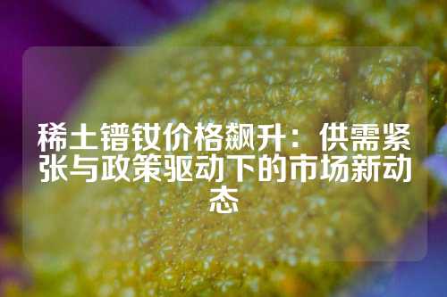 稀土镨钕价格飙升：供需紧张与政策驱动下的市场新动态