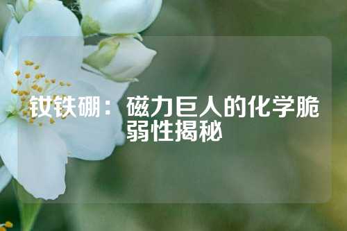 钕铁硼：磁力巨人的化学脆弱性揭秘