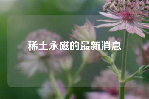 稀土永磁的最新消息