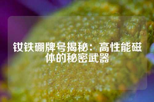 钕铁硼牌号揭秘：高性能磁体的秘密武器