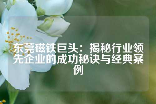 东莞磁铁巨头：揭秘行业领先企业的成功秘诀与经典案例