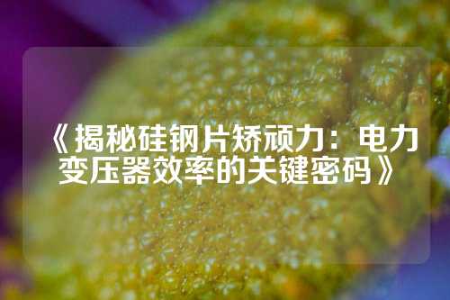 《揭秘硅钢片矫顽力：电力变压器效率的关键密码》