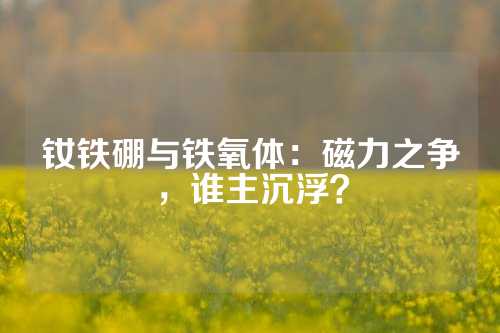 钕铁硼与铁氧体：磁力之争，谁主沉浮？