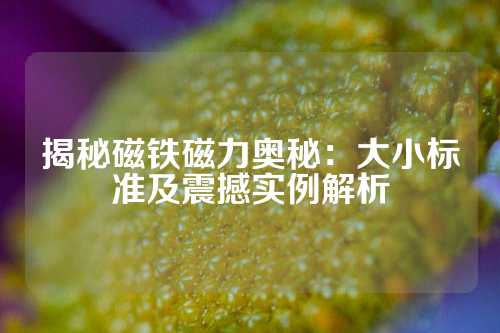 揭秘磁铁磁力奥秘：大小标准及震撼实例解析