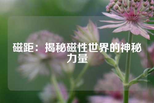 磁距：揭秘磁性世界的神秘力量