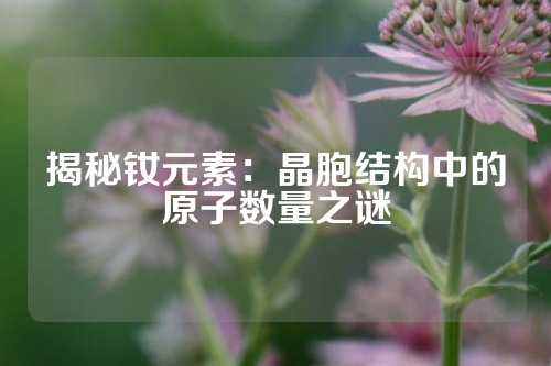 揭秘钕元素：晶胞结构中的原子数量之谜