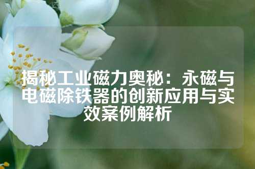 揭秘工业磁力奥秘：永磁与电磁除铁器的创新应用与实效案例解析