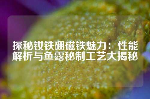 探秘钕铁硼磁铁魅力：性能解析与鱼露秘制工艺大揭秘