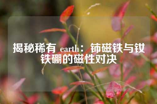 揭秘稀有 earth：铈磁铁与钕铁硼的磁性对决