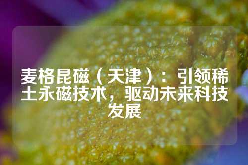 麦格昆磁（天津）：引领稀土永磁技术，驱动未来科技发展