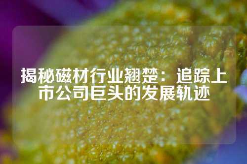 揭秘磁材行业翘楚：追踪上市公司巨头的发展轨迹