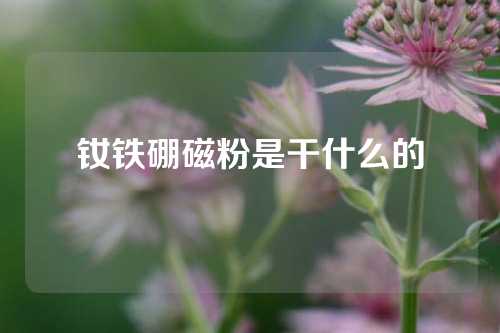 钕铁硼磁粉是干什么的