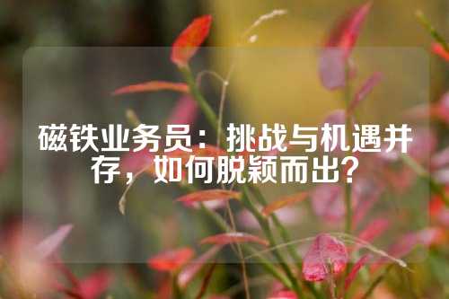 磁铁业务员：挑战与机遇并存，如何脱颖而出？