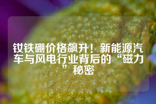 钕铁硼价格飙升！新能源汽车与风电行业背后的“磁力”秘密