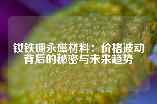 钕铁硼永磁材料：价格波动背后的秘密与未来趋势