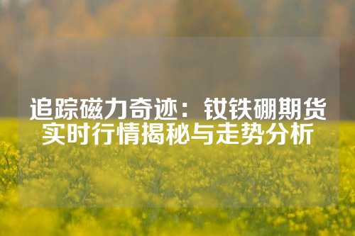 追踪磁力奇迹：钕铁硼期货实时行情揭秘与走势分析