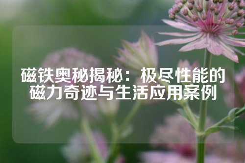 磁铁奥秘揭秘：极尽性能的磁力奇迹与生活应用案例