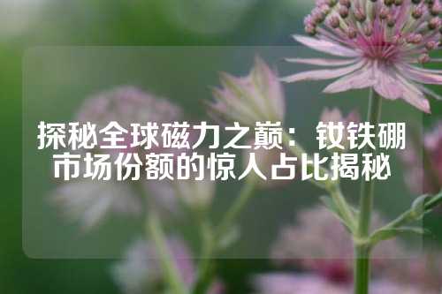 探秘全球磁力之巅：钕铁硼市场份额的惊人占比揭秘