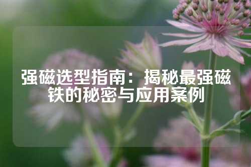 强磁选型指南：揭秘最强磁铁的秘密与应用案例