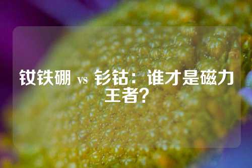 钕铁硼 vs 钐钴：谁才是磁力王者？