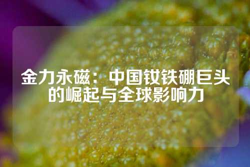 金力永磁：中国钕铁硼巨头的崛起与全球影响力