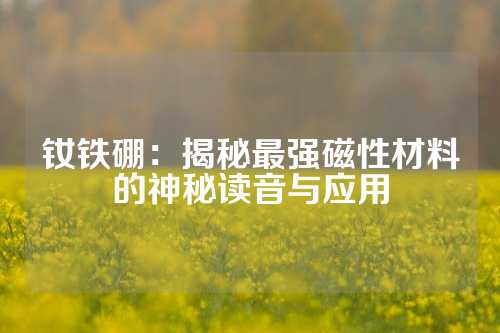 钕铁硼：揭秘最强磁性材料的神秘读音与应用