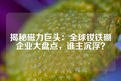 揭秘磁力巨头：全球钕铁硼企业大盘点，谁主沉浮？