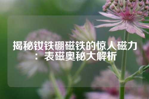 揭秘钕铁硼磁铁的惊人磁力：表磁奥秘大解析