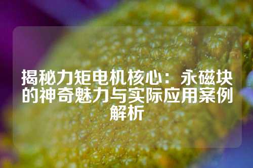 揭秘力矩电机核心：永磁块的神奇魅力与实际应用案例解析