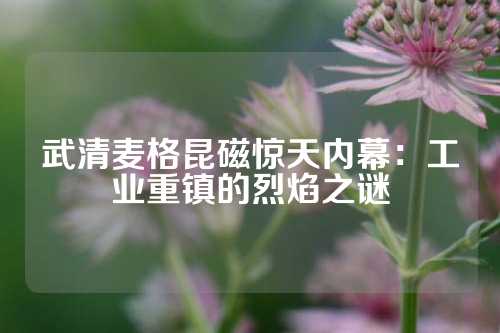 武清麦格昆磁惊天内幕：工业重镇的烈焰之谜