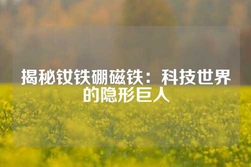 揭秘钕铁硼磁铁：科技世界的隐形巨人