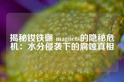 揭秘钕铁硼 magnets的隐秘危机：水分侵袭下的腐蚀真相