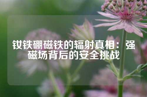 钕铁硼磁铁的辐射真相：强磁场背后的安全挑战